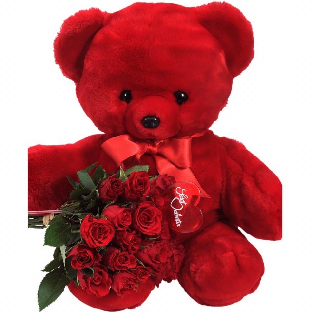 Αρκουδάκι με μπουκέτο κόκκινα (20τεμ) τριαντάφυλλα - V055