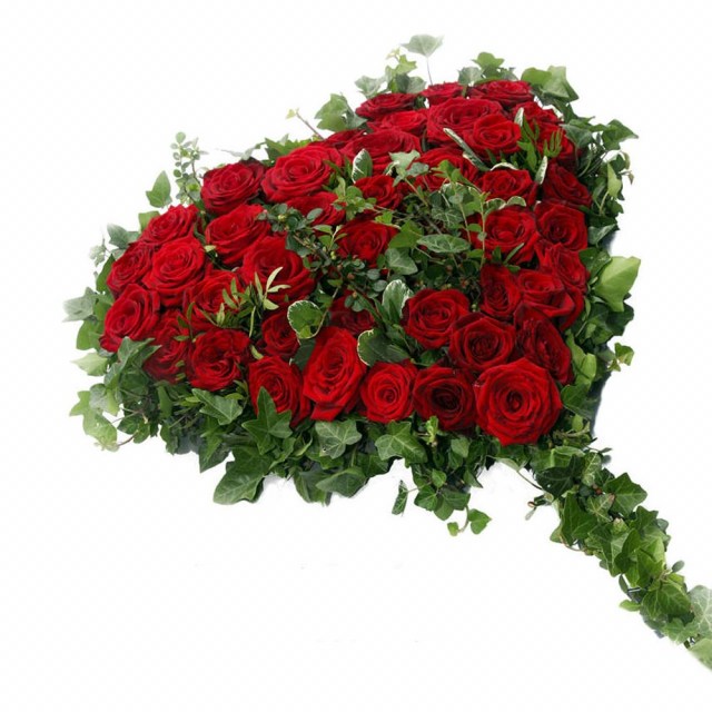Μεγάλη καρδιά σφουγγάρι 50 κόκκινα τριαντάφυλλα