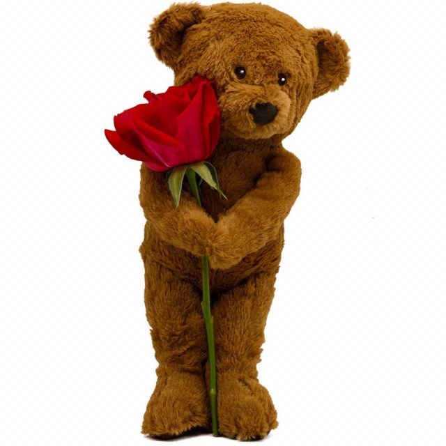 Αρκούδος 70cm ύψος, με κόκκινο τριαντάφυλλο 70cm- BEAR1002