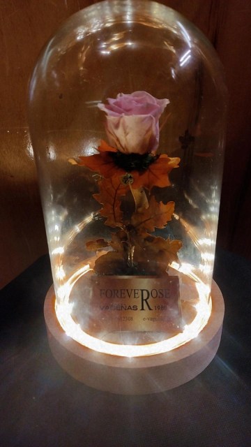 Forever Rose 22cm Led Edition