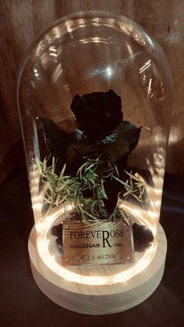 Forever Rose Black Beauty Led Edition 22cm