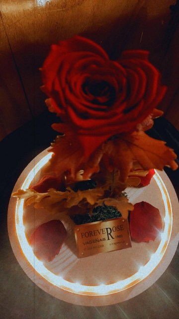 Forever Rose Red Heart Led Edition