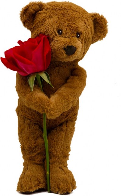 Αρκούδος 1m ύψος, με κόκκινο τριαντάφυλλο 90cm